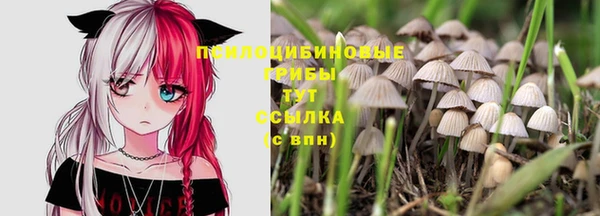 мет Алзамай