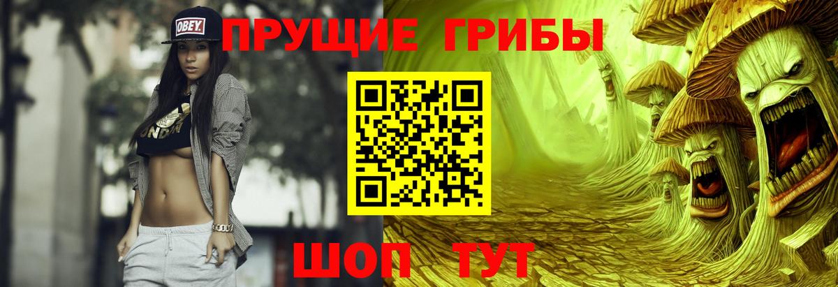 Псилоцибиновые грибы GOLDEN TEACHER Канаш