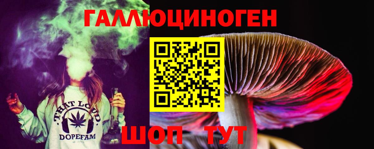 Канаш  Псилоцибиновые грибы прущие грибы  Вход с VPN 